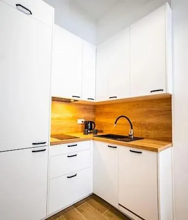 Apartment Stylish In